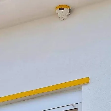 Casa Do Ninho - Entre O Campo E A Cadaval